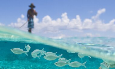 TIKEHAU TIKEHAU